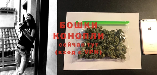 ГАЛЛЮЦИНОГЕННЫЕ ГРИБЫ Козельск